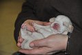 Afb_20121123_Bjorn (24)
